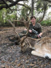Florida fallow deer hunts