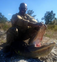 Fort Myers Florida Alligator Hunts