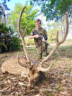 Florida axis deer hunting